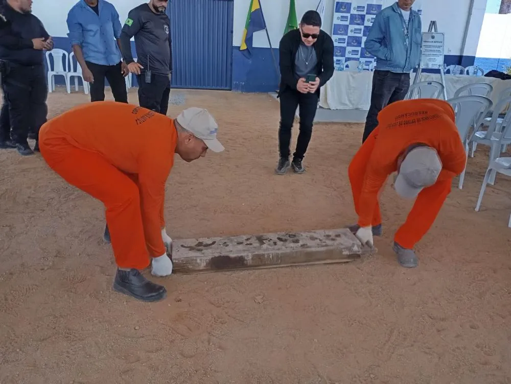 Foto
