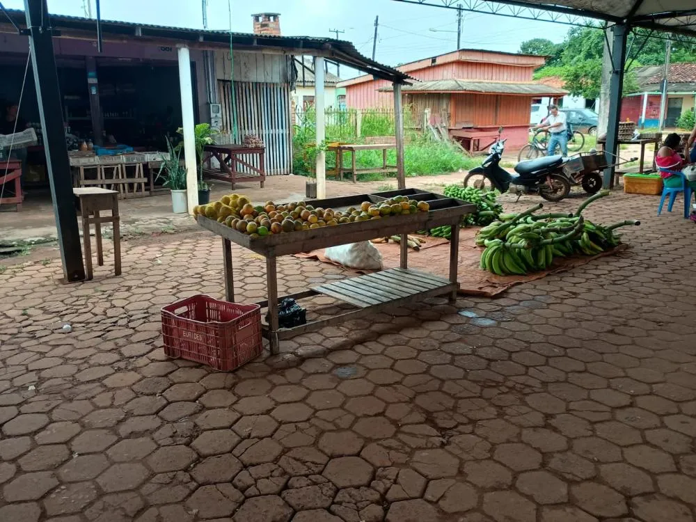 Foto