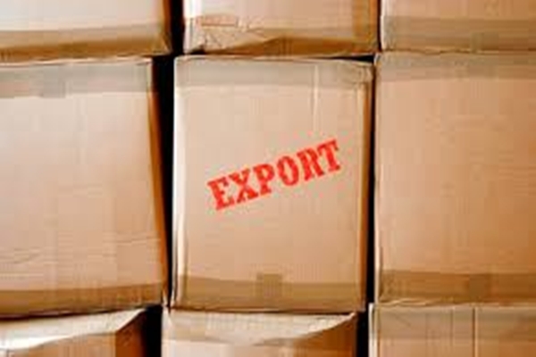 CÂMARA REJEITA CRIAÇÃO DE ZONA DE EXPORTAÇÃO EM GUAJARA-MIRIM