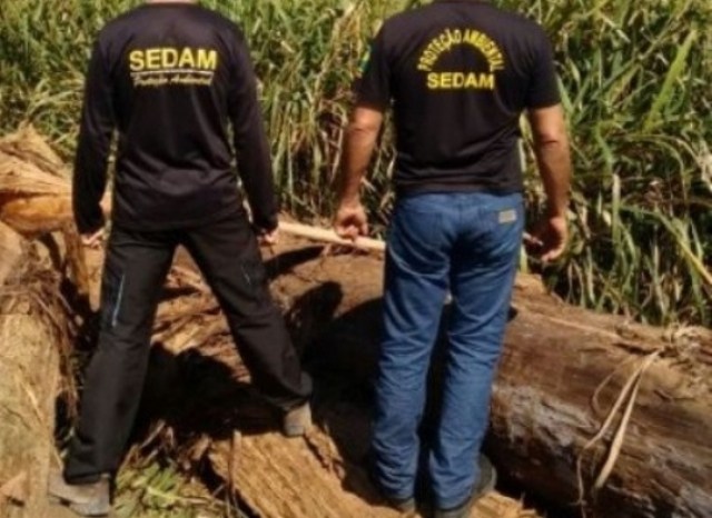 Ex-funcionários da Sedam são condenados por esquema fraudulento