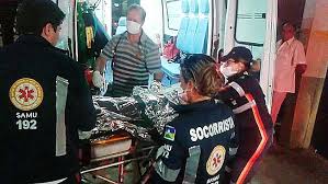 Menino de 10 anos tem o pênis arrancado a mordidas por cachorro