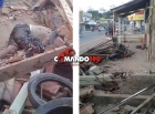 Motociclista inabilitado morre ao derrubar varanda de comércio