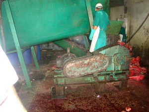 Condições sanitárias da Friboi no Acre eram assustadoras diz denuncia de 2014