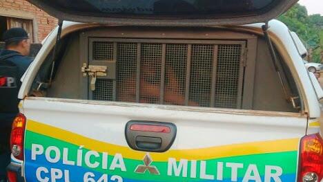PRESA - Filha é acusada de surrar mãe por conta de carro