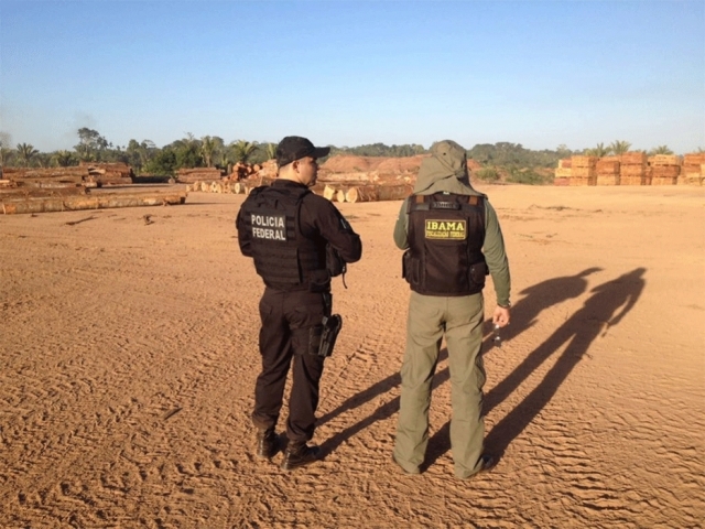 PF, Ibama e Receita deflagram Operação Máfia da Tora em Rondônia; Guajará-Mirim, Nova Mamoré, e Porto Velho