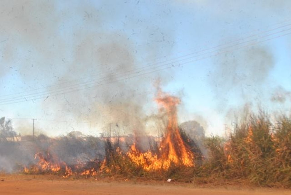 Incêndios criminosos em terrenos revoltam moradores de Guajará, RO