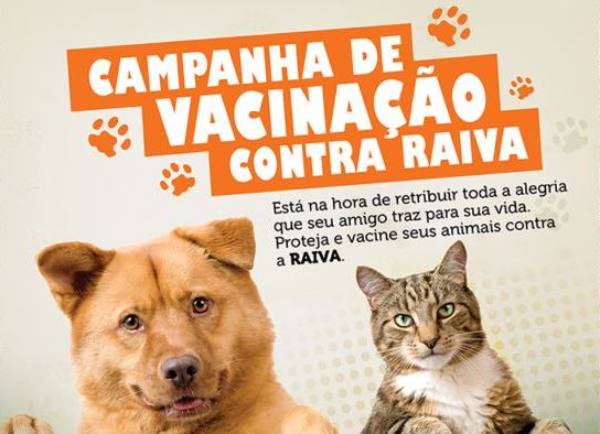 PREFEITURA REALIZAÇÃO DIA D DE VACINAÇÃO