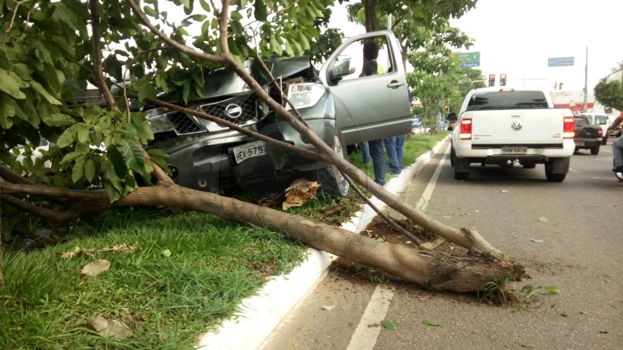 CAMINHONETE COM BEBÊ COLIDE VIOLENTAMENTE EM ÁRVORE NA CAPITAL