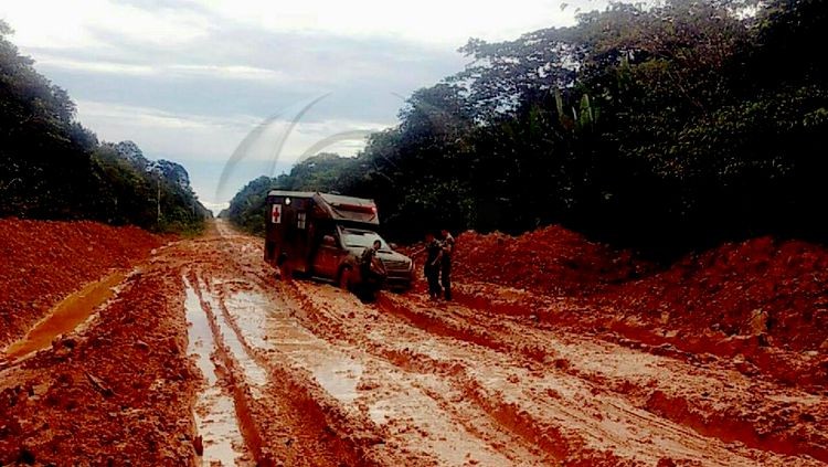 BR-319: Exército resgata 40 passageiros que ficaram oito dias em ônibus