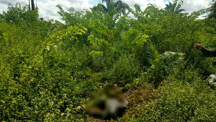 PUTREFAÇÃO: Corpo de homem é encontrado em areal na zona Leste