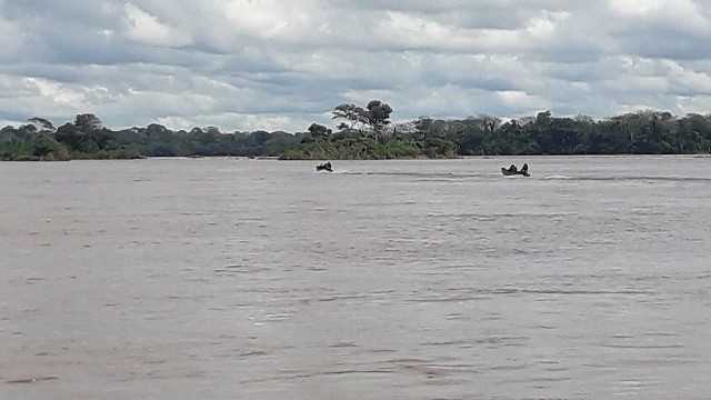 EMPRESÁRIO E MECÂNICO DE GUAJARÁ-MIRIM ESTÃO DESAPARECIDOS APÓS NAUFRÁGIO DE VOADEIRA NO RIO MAMORÉ.