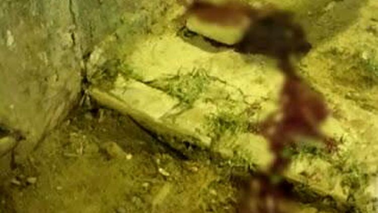 Homem é atacado a tijoladas após sair de bar com mulher 