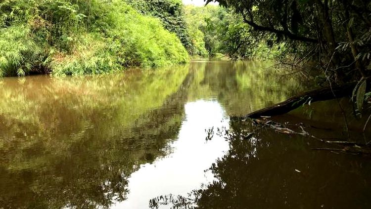 SALTO PARA A MORTE: Jovem morre após pular de 