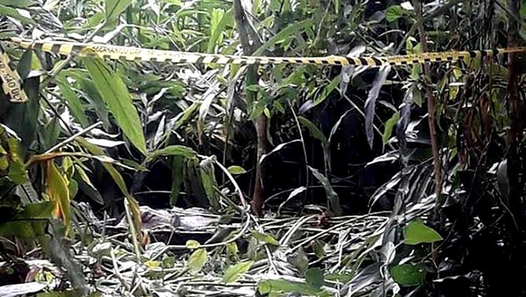 ABSURDO: Mulher de 58 anos é estuprada por quatro horas em matagal na capital