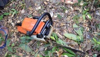 FATALIDADE: TRABALHADOR VEM A ÓBITO APÓS PALHEIRA CAIR EM SUA CABEÇA EM NOVA MAMORÉ