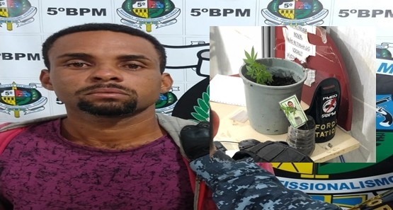 Polícia prende homem com moto roubada, droga e pés de maconha