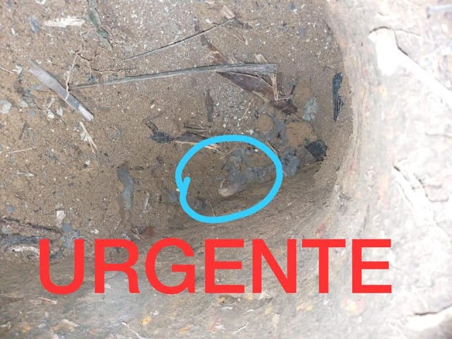 VÍDEO: MULHER QUE ESTAVA DESAPARECIDA É ENCONTRADA MORTA E ENTERRADA PRÓXIMO AO LIXÃO DE BURITIS