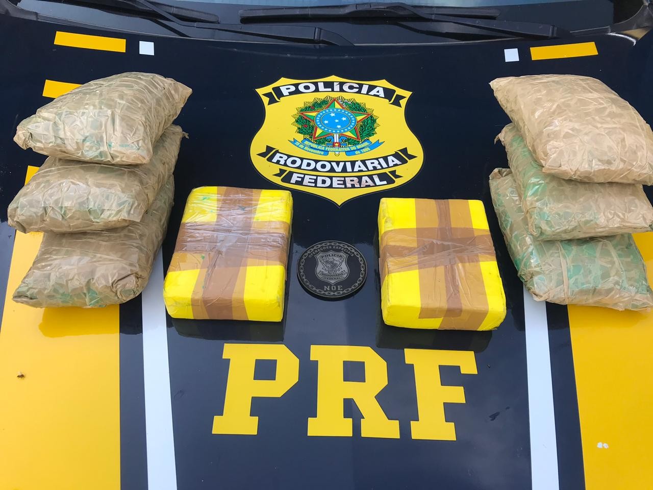 PRF apreende 8 quilos de cocaína e flagra transporte irregular de pescado
