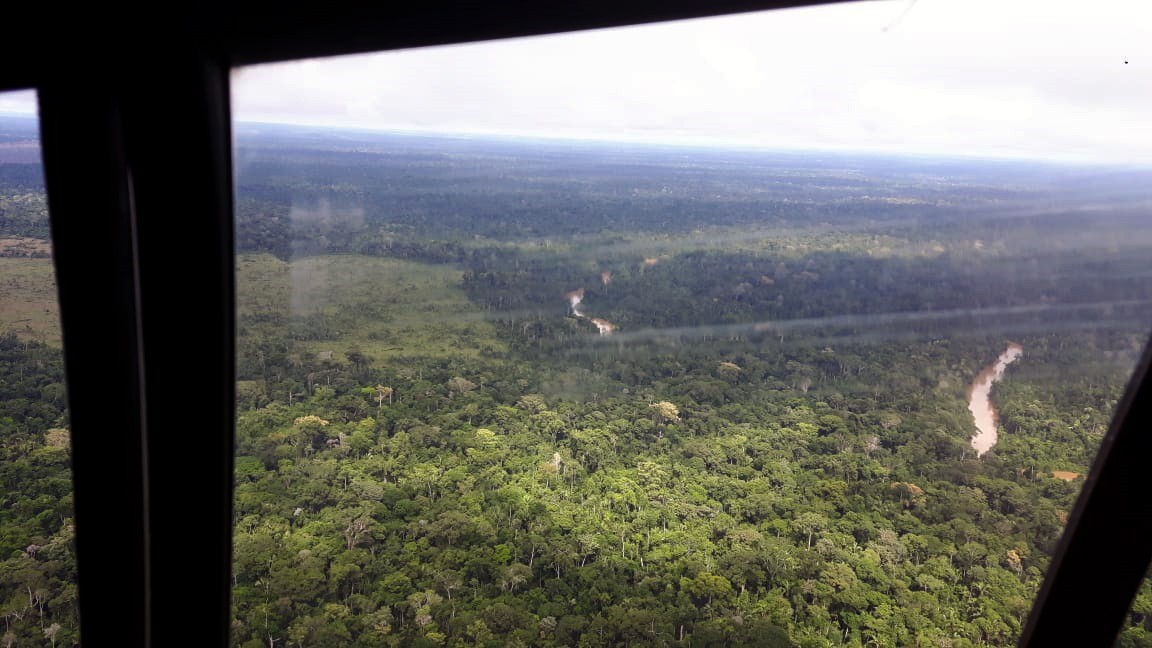 PROJETO DE CRÉDITO DE CARBONO DO PARQUE ESTADUAL DE GUAJARÁ-MIRIM É ENVIADO À ASSEMBLEIA LEGISLATIVA