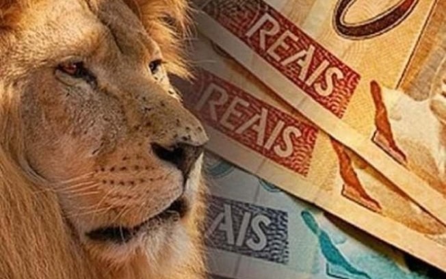 Imposto de Renda 2020: Saiba o que evitar para não cair na malha fina