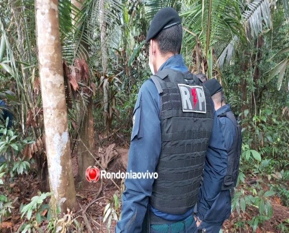 Ossada humana amarrada é encontrada em mata na BR-319