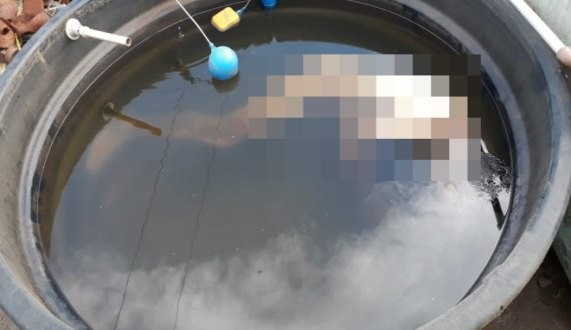 IDOSO É ENCONTRADO MORTO AFOGADO DENTRO DE CAIXA D'ÁGUA NO DISTRITO DE ABUNÃ