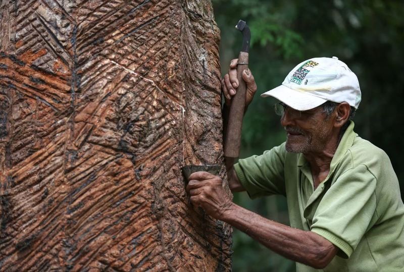 GENTE DA NOSSA TERRA: EXTRATIVISTAS DE ONTEM E DE HOJE. UMA LUTA EM DEFESA DA FLORESTA