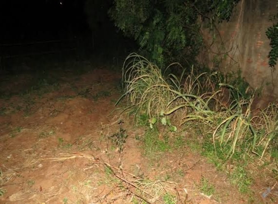 Homem sai de matagal pelado e tenta estuprar mulher em terreno baldio