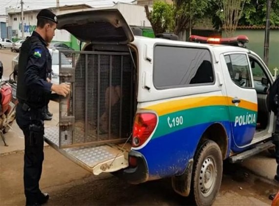 Homem tenta estuprar adolescente mas é preso em flagrante