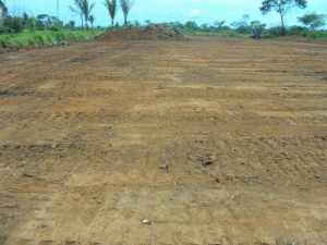 Obras do novo cemitério têm início