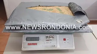 Denarc apreende mais de 10 Kg de cocaína e prende motorista durante operação Horus em Guajará-Mirim