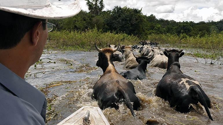 Beni: anunciam-se cheias em povoados da margem do Rio Mamoré