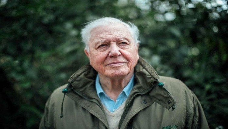 DAVID ATTENBOROUGH: “Estamos diante da possibilidade real de uma sexta extinção em massa”