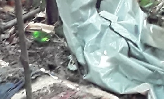SEVIC e Divisão de Homicídios prendem principal suspeito de ter matado e enterrado vítima no ramal do Pompeu em Guajará-Mirim