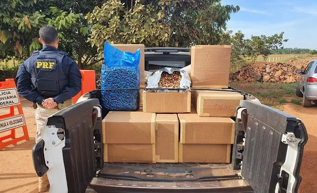 PRF apreende quase uma tonelada de castanha em caminhonete na BR-425