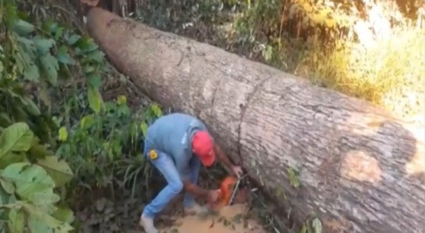 Mais de 60 famílias são retiradas de área ao redor do parque estadual Guajará-Mirim