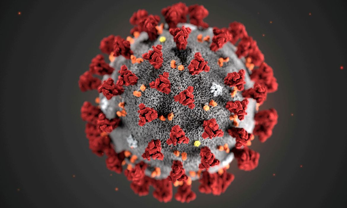 Fiocruz: estudo sugere que variante Delta pode causar mais reinfecções