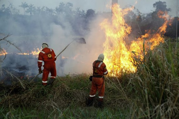 Rondônia abre 62 vagas a bombeiros civis para combater incêndios florestais