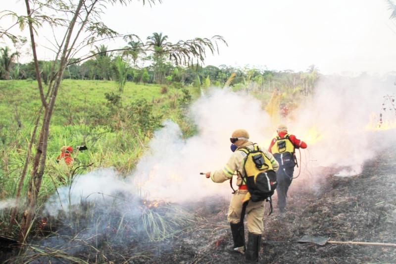 Ministério da Justiça e Segurança Pública lança primeiro plano integrado de combate a incêndios no país