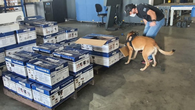 Cão farejador da PF localiza 64 kg de cocaína no aeroporto de Fortaleza