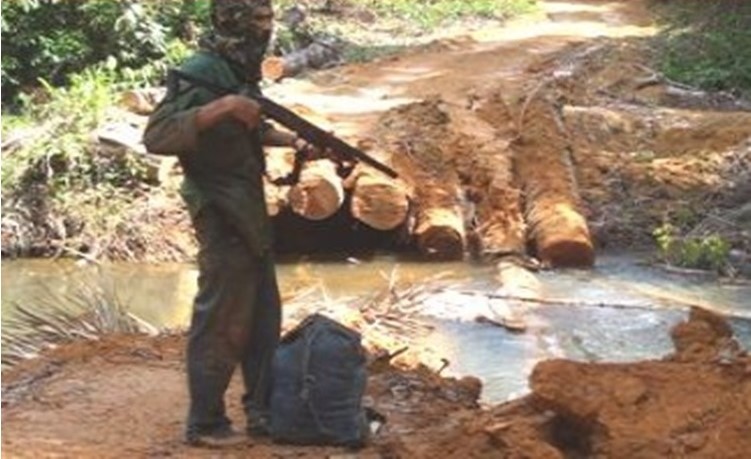 TENSÃO NO CAMPO: Invasores de terra desafiam a polícia e continuam causando pânico