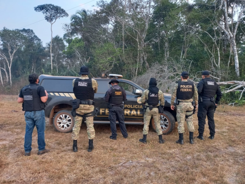 Polícia Federal faz flagrante de desmatamento ilegal em Rondônia