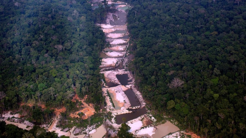 A Amazônia está em “alerta vermelho”, revela estudo