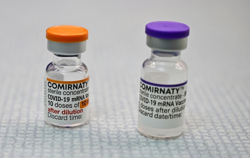 Anvisa autoriza vacina contra Covid da Pfizer para crianças de 5 a 11 anos