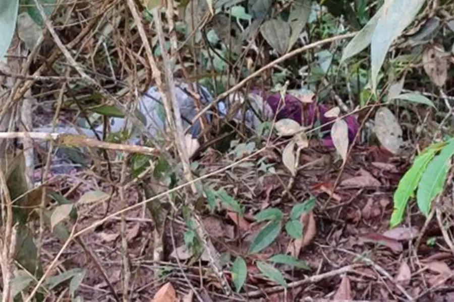 Cadáver em estado de decomposição é encontrado