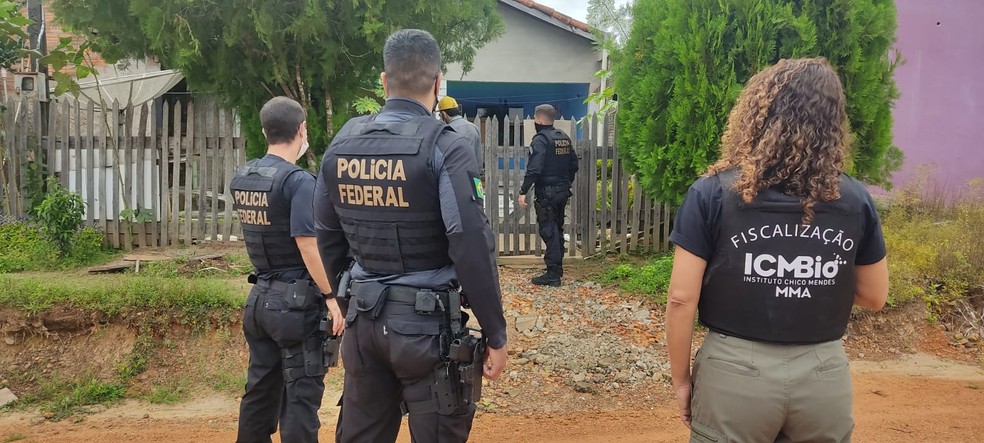 Ameaça de invasão a reserva florestal desencadeia operação da PF e ICMBio em RO