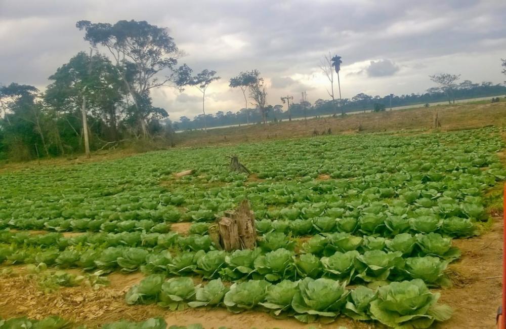 SEMAGRIP APOIA PRODUTORES NA ILHA MONTEIRO