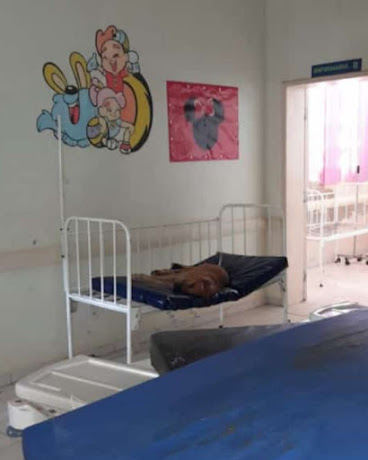SECRETÁRIO DE SAÚDE ESCLARECE OS FATOS SOBRE FOTO DE UM CÃO EM AREA DESATIVADA DO HOSPITAL