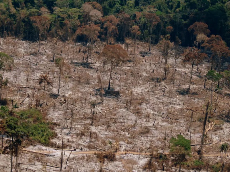 Governo Federal inicia Operação Guardiões do Bioma em combate ao desmatamento ilegal na Amazônia