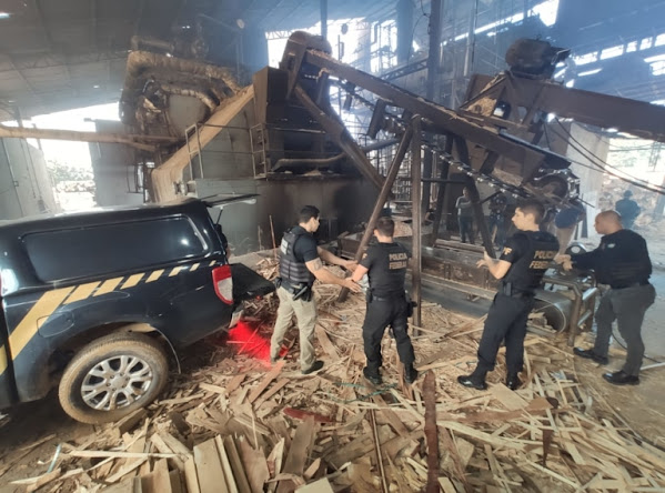 Polícia Federal destrói mais de uma tonelada de cocaína em Ji-Paraná